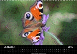 Kalender 2019 Deep Dreaming (12)